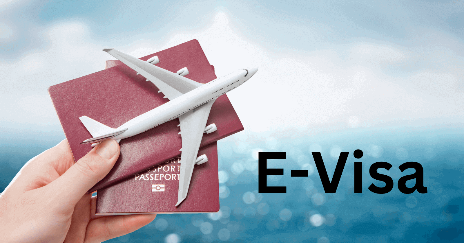 VisaBacNinh.com - Dịch vụ visa tại Bắc Ninh, Bắc Giang